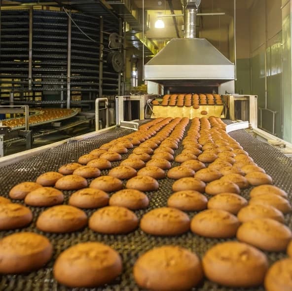 Sorting Process Roll Production