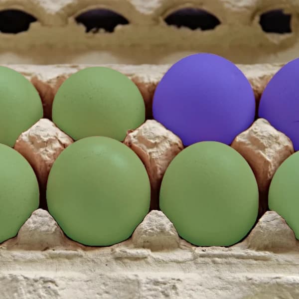 Instance Segmentation