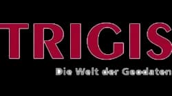 Logo of Trigis GeoService